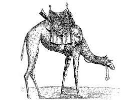 There are different advantages and disadvantages of technology. The United States Army Camel Corps 1856 66