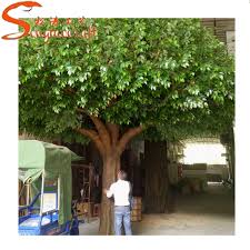 Routine pruning is a great way to keep your tree strong and robust. Grosse Party Dekoration Im Freien Party Dekoration Leben Grune Ficus Baum Kunstliche Eiche Zweige Dekoration Buy Green Ficus Tree Artificial Oak Tree Tree Branches Decoration Product On Alibaba Com