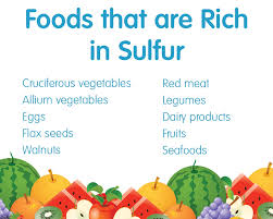 Dried fruit tends to contain high. Sulfur Rich Foods Boost Your Sulfur Intake Amino Acids Today