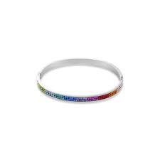 Coeur de lion designerkette collier halskette kette farbsteine würfel. Coeur De Lion Multicoloured Rainbow Stainless Steel Bangle Jewellery From Faith Jewellers Uk