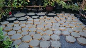 Making your own diy concrete stepping stones is a way to create functional art for the floor of your garden. Landscape Design Forum Diy Concrete Stepping Stone Path Garden Org