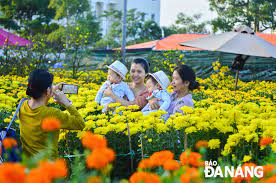 Báo Đà Nẵng điện tử