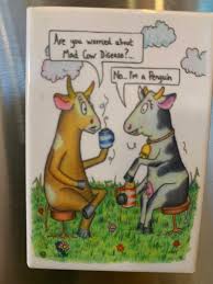 Marc Lipsitch On Twitter Our Refrigerator Magnet Seems Like A Day When Some Infectious Disease Humor Is Needed