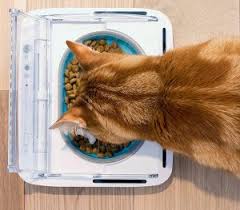 We reviewed 15+ automatic (timed) cat food dispensers for the best programmable features. Best 7 Automatic Wet Food Feeders For Cats Comparison Reviews