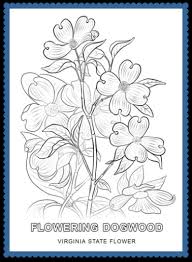 Rhododendron coloring page pages template. Free Coloring Pages Archives Usa Facts 1996059 Png Images Pngio