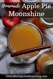Cover pot with a lid, reduce heat, and simmer for about 1 hour. Homemade Apple Pie Moonshine Recipe A Farm Girl In The Making