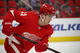 Filip zadina is currently playing in a team detroit red wings. Detroit Red Wings In No Rush To Bring Up Filip Zadina