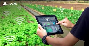 Transformasi Digital dalam Pertanian Nusantara: Membangun Ketahanan Pangan  di Era Industri 4.0 -