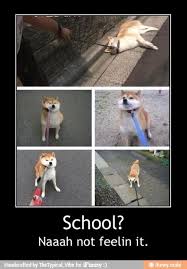 The 17 Worst Things About Going Back To School Funny Pictures Funny Memes Funny