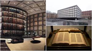 Free delivery for all orders from the uk. Admire The Rare Design Of Yale University Library Helping To Protect Millions Of Valuable Ancient Bibliographies From The Sun
