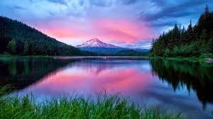 Best 49 Nature Backgrounds For Laptop On Hipwallpaper Beautiful Nature Wallpaper Awesome Nature Wallpapers And Pretty Nature Wallpaper Our extensive collection of nature pictures allows for diverse use. best 49 nature backgrounds for laptop