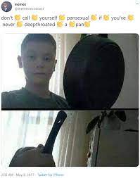 This could be the only web page dedicated to explaining the meaning of pansexual (pansexual ever wondered what pansexual means? What Is Pansexual Meme Know It Info