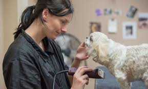 The staff are friendly, courteous and organized. Expert Veterinary Care Memphis Poplar And Massey The Pet Hospitals