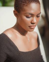 Pin On Black Beauty