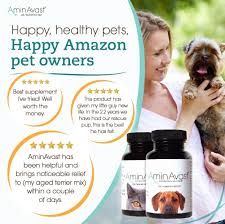 Aminavast Kidney Support Supplement For Cats And Dogs 300mg Promotes And Supports Natural Kidney Function Supports Health And Healthy Pets Dog Health Health