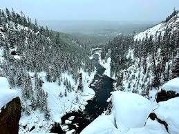 ﾟ✧*:・ﾟ @brattied - Twitter Profile | Sotwe