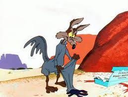 Wile E Coyote Disguising Himself As A Roadrunner Classic Cartoon Characters Looney Tunes Cartoons Looney Tunes Characters