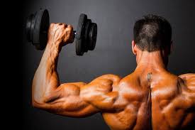 Gym equipment with names (2021 updated). 10 Best Shoulder Exercises For Men Man Of Many