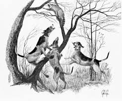 That's because their first house clocked in at 1,000 square feet. 470 Hounds Ideas Coonhound Hound Treeing Walker Coonhound