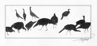 Great for chuckles for grownups and kids. Why Did The Turkey Cross The Road The Outside Story