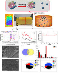 Changes In Structure And Flavor Of Egg Yolk Gel Induced By