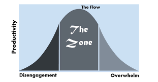 growth how to accelerate it with flow state extreme focus