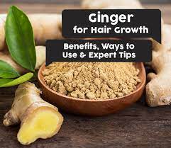 Also, with these nutrients you can find that your hair would be shining. Ginger For Hair Growth 5 Impressive Benefits Of Ginger Ways To Use Expert Tips