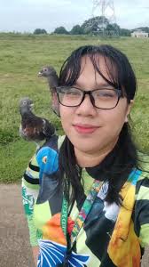 Training of the Scout Ranger's Hammer Parrot for Free Flight