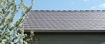 Top shingles