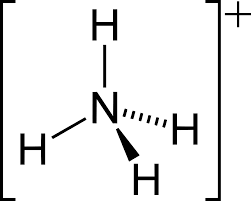 アンモニア 化学式 nh4