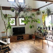 吊るすだけでおしゃれな空間に プラントハンガーで彩るお部屋アイデア11選 folk プラントハンガー カフェのインテリアデザイン お部屋
