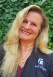 Statewide Network Serving Genesee County