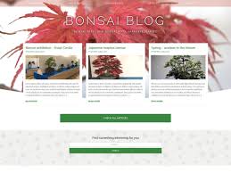 Buying a bonsai tree in a shop is nice, but wouldn't it be much cooler to do it yourself? Download Free Bonsai Blog Wordpress Theme Justfreewpthemes