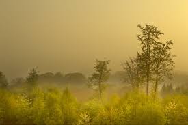 The National Forest Embraces 200 Square Miles Of The Midlands And Stretches Across Parts Of Derbyshire Leicestershire Studieren Im Ausland Sprachreisen Reisen