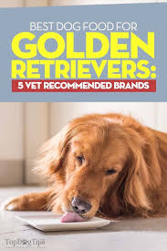 Best Dog Food For Golden Retrievers 5 Vet Recommended Brands Top Dog Tips Best Dog Food Brands Golden Retriever Best Puppy Food