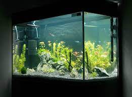 Peran top filter di aquarium nerupakan hal penting untuk menjaga. 12 Rekomendasi Pompa Aquarium Terbaik Untuk Ikan Peliharaan Kamu Bukareview