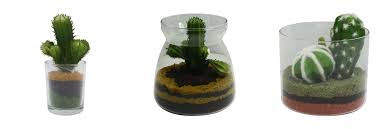 Kreasi kaktus unik cactus id @mycactus.id atau dibeli langsung di perumahan manahan park view no. 25 Dekorasi Kaktus Terpopuler Blog Ruparupa