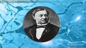 We did not find results for: Theodor Schwann Discovery Cell Theory Contributions Video Lesson Transcript Study Com