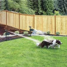 Bird X Hydro Critter Blaster Animal Sprinkler Repeller Scarecrow Motion Activated Solar Powered Hcb S The Home Depot In 2020 Sprinkler Backyard Landscaping Backyard