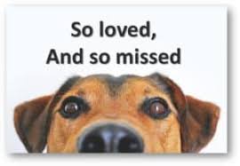 115 sympathy messages for friends and family. 35 Sympathy Card Condolence Messages Loss Of Pet