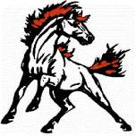 Bamberg-Ehrhardt Girls Varsity Volleyball @ Barnwell