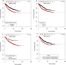 Lung cancer is commonly associated with smoking. Factors Influencing Recurrence Following Anatomic Lung Resection For Clinical Stage I Non Small Cell Lung Cancer Lung Cancer