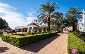 We did not find results for: Hacienda De Oran Utrera Updated 2021 Prices