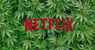 How to market a cbd brand and successfully sell cbd products. Cannabis Movies And Series 2019 Alchimia Grow Shop