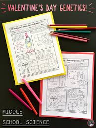 Valentine S Day Genetics Worksheet With Monohybrid Crosses For Middle Scho In 2020 Middle School Science Middle School Science Activities Science Lessons Middle School