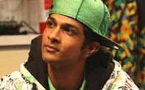 Animals Out of Paper