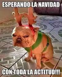 Resultado De Imagen Para Meme De Navidad Meme De Navidad Chistes Navidenos Stuffed Animals