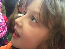 What a summer    thank you to all the friends family neighbors and locals  who helped in creating this very special space over the years. Best of luck  to all the girls