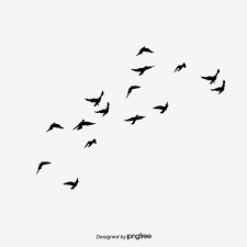 Flying Bird Bird Fly Sky Png Transparent Clipart Image And Psd File For Free Download Birds Flying Flying Bird Silhouette Bird Silhouette Tattoos