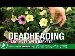 Pin On Garden Center